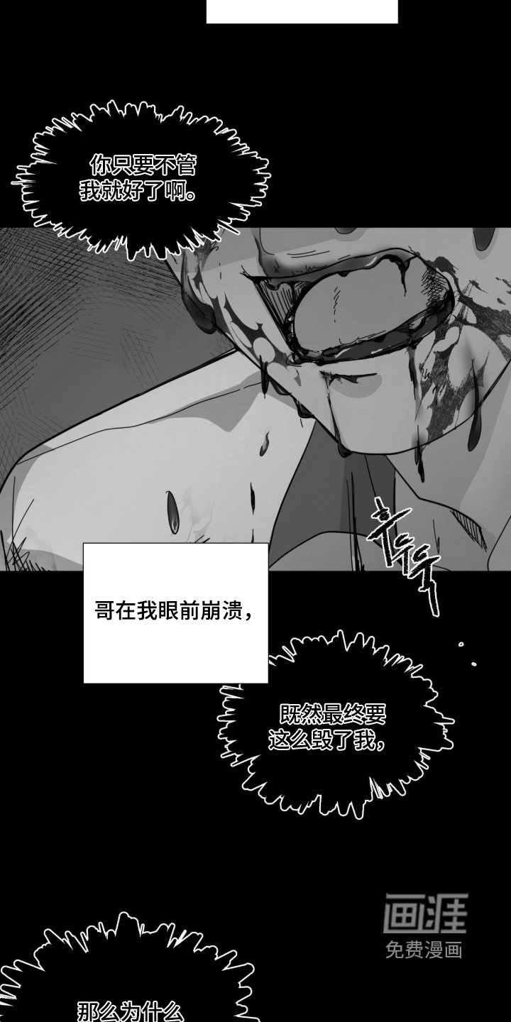 第17章：牙齿
