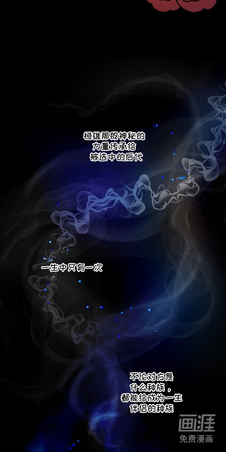第2章：被选中