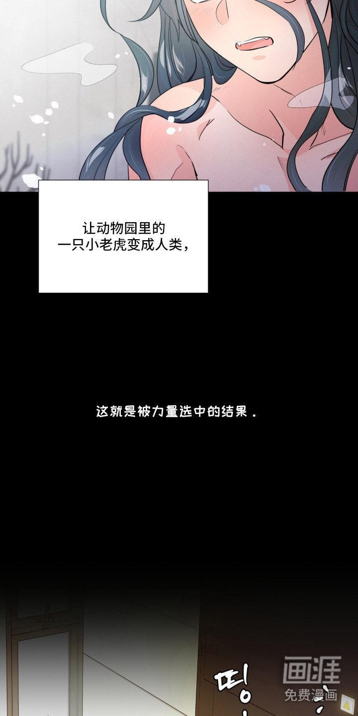 第2章：被选中