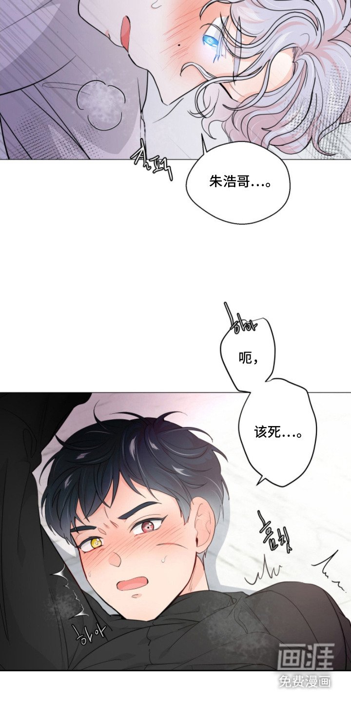 第5章：赋予新生