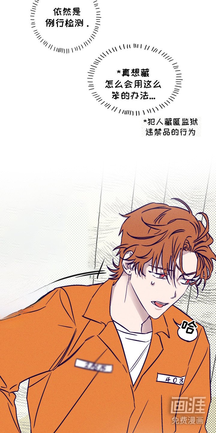 第1章：滑稽的事