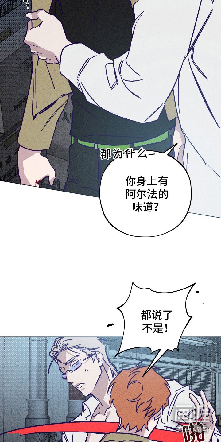 第5章：下决心
