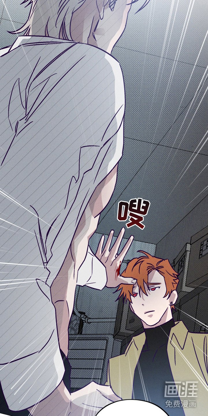 第5章：下决心