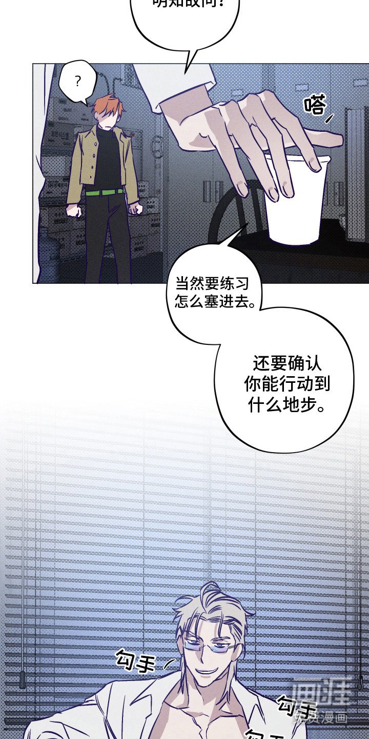 第5章：下决心