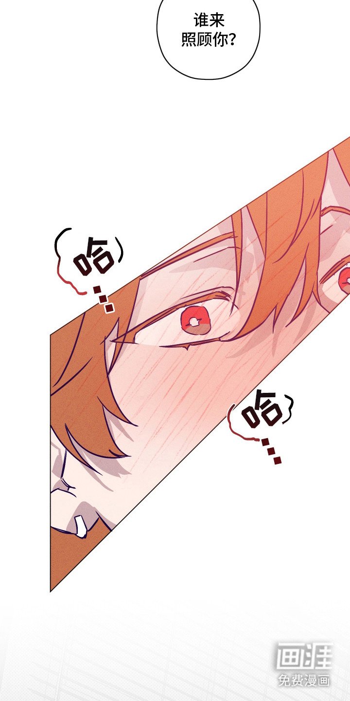 第6章：检查