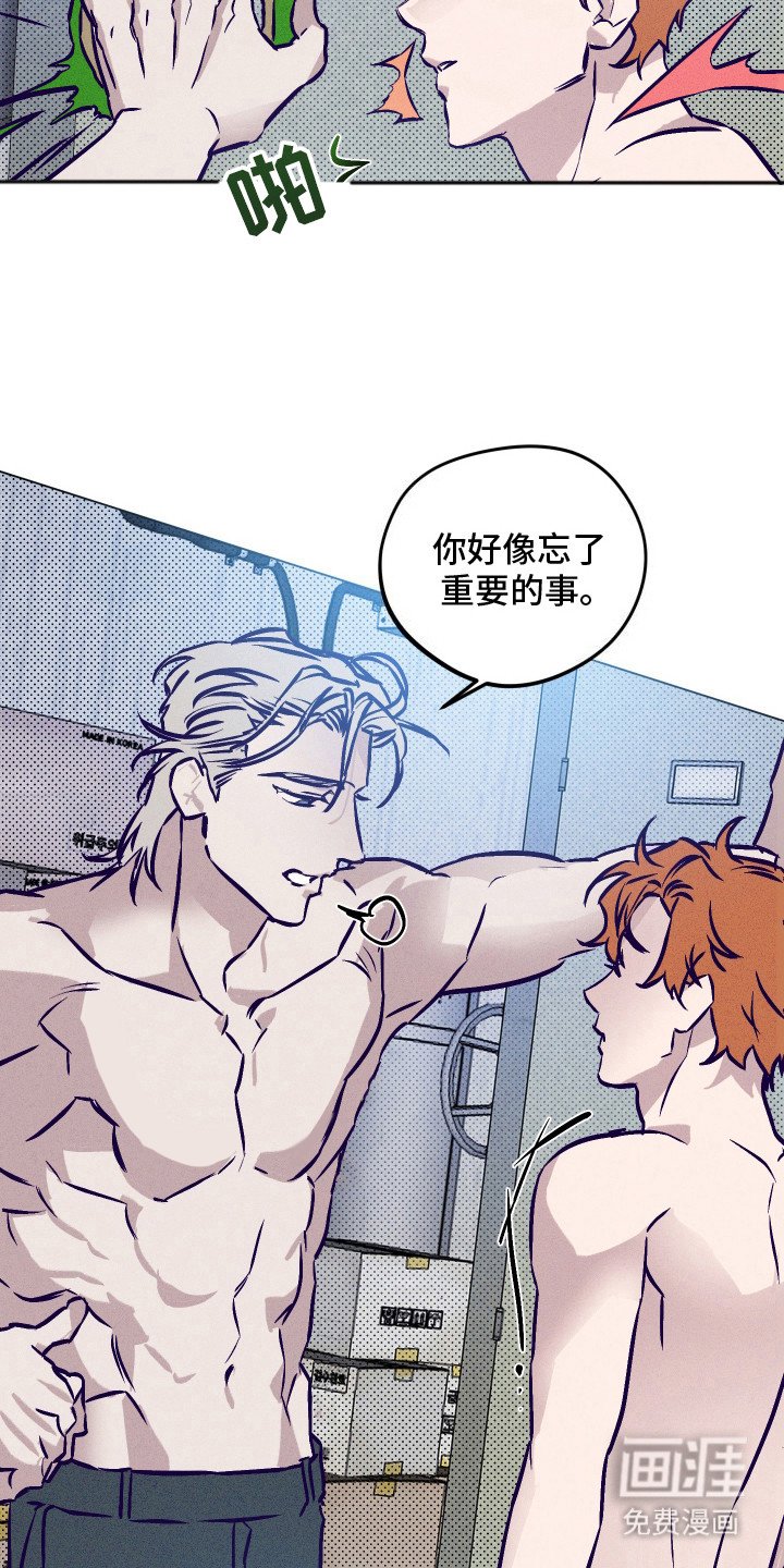 第8章：胶带