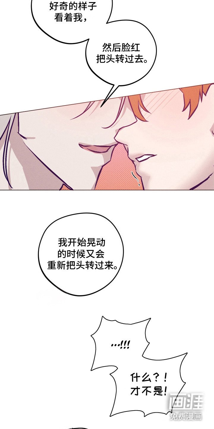 第8章：胶带