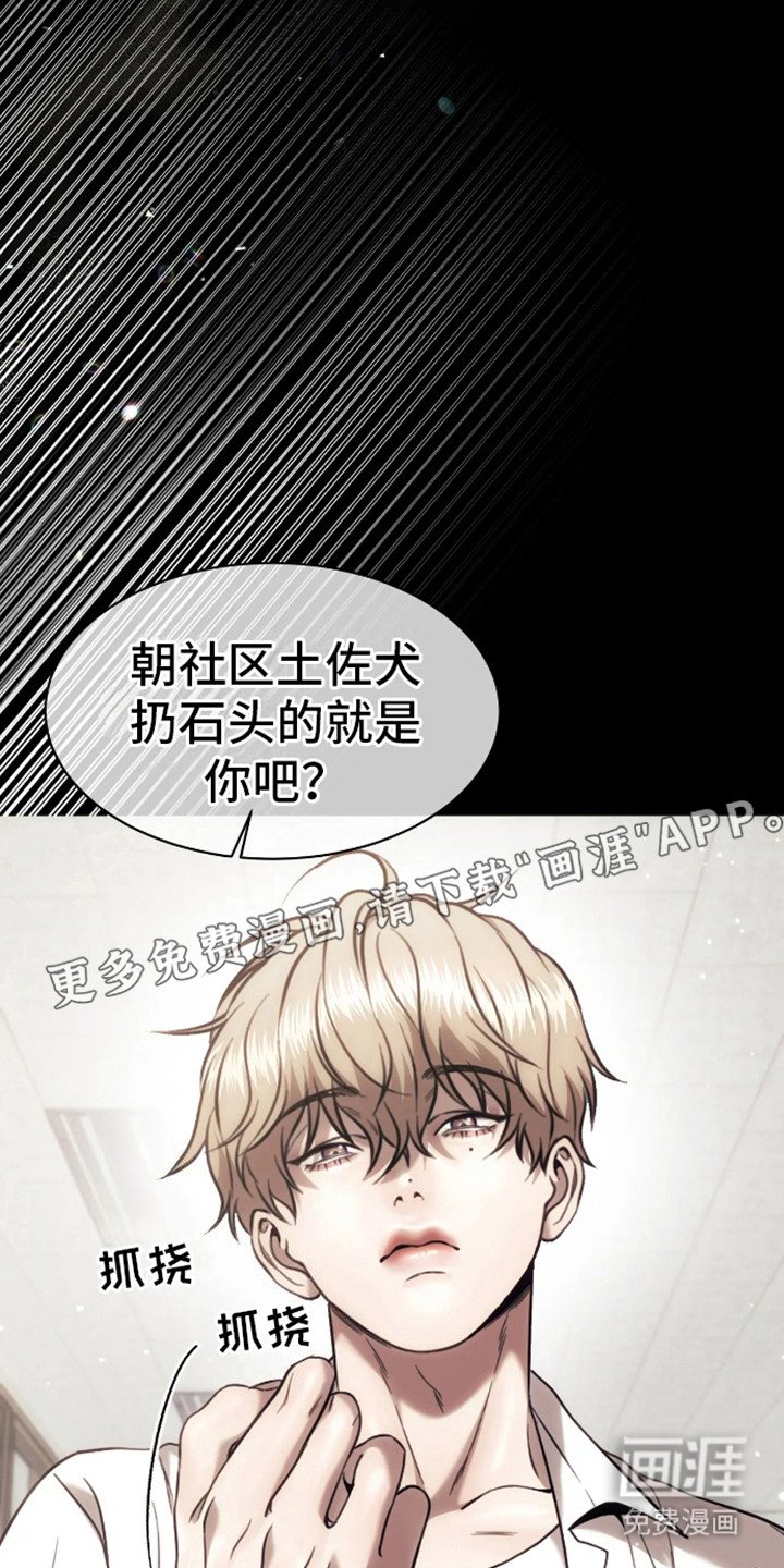 第10章：视线