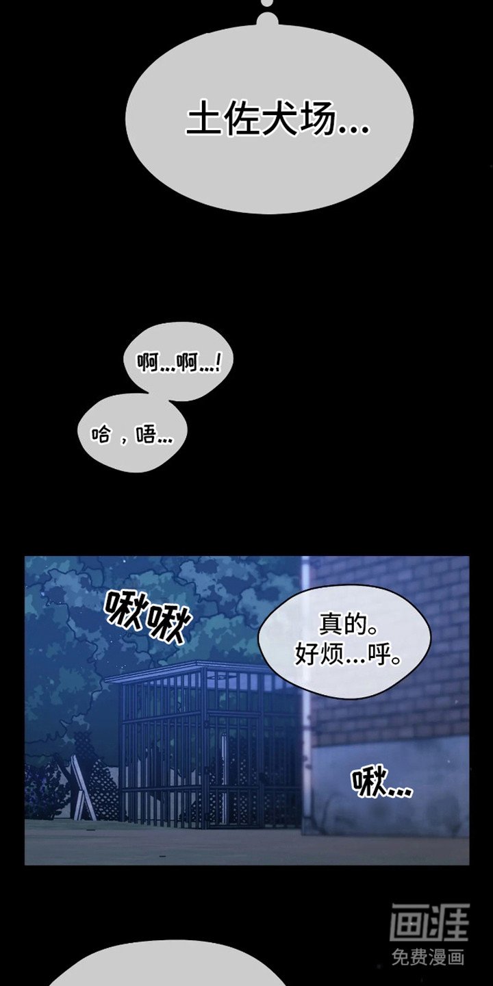 第10章：视线
