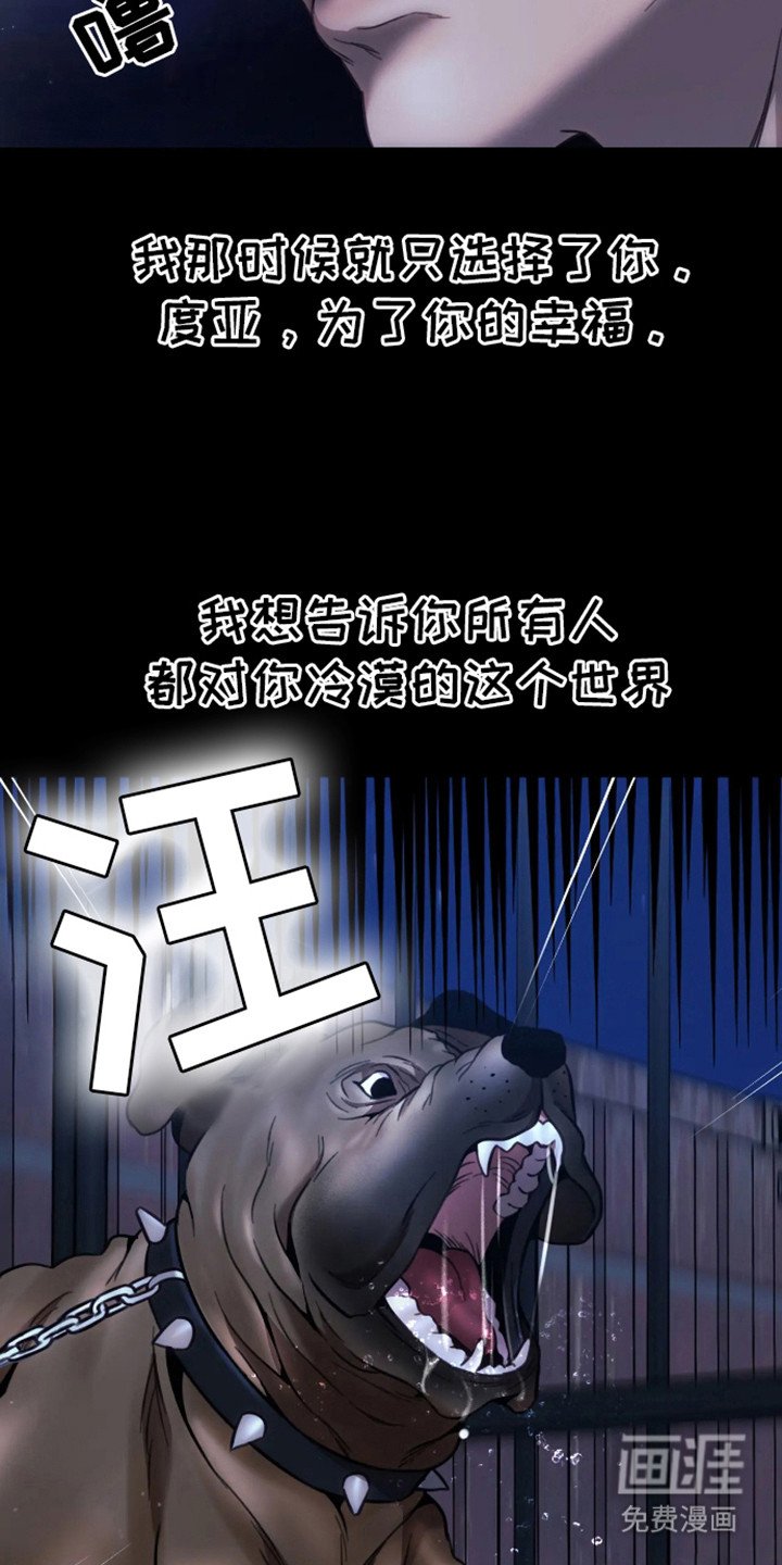 第12章：选择