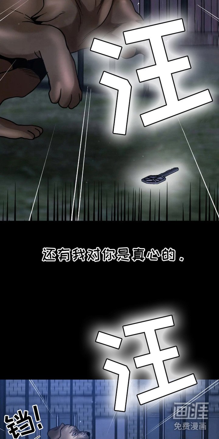 第12章：选择