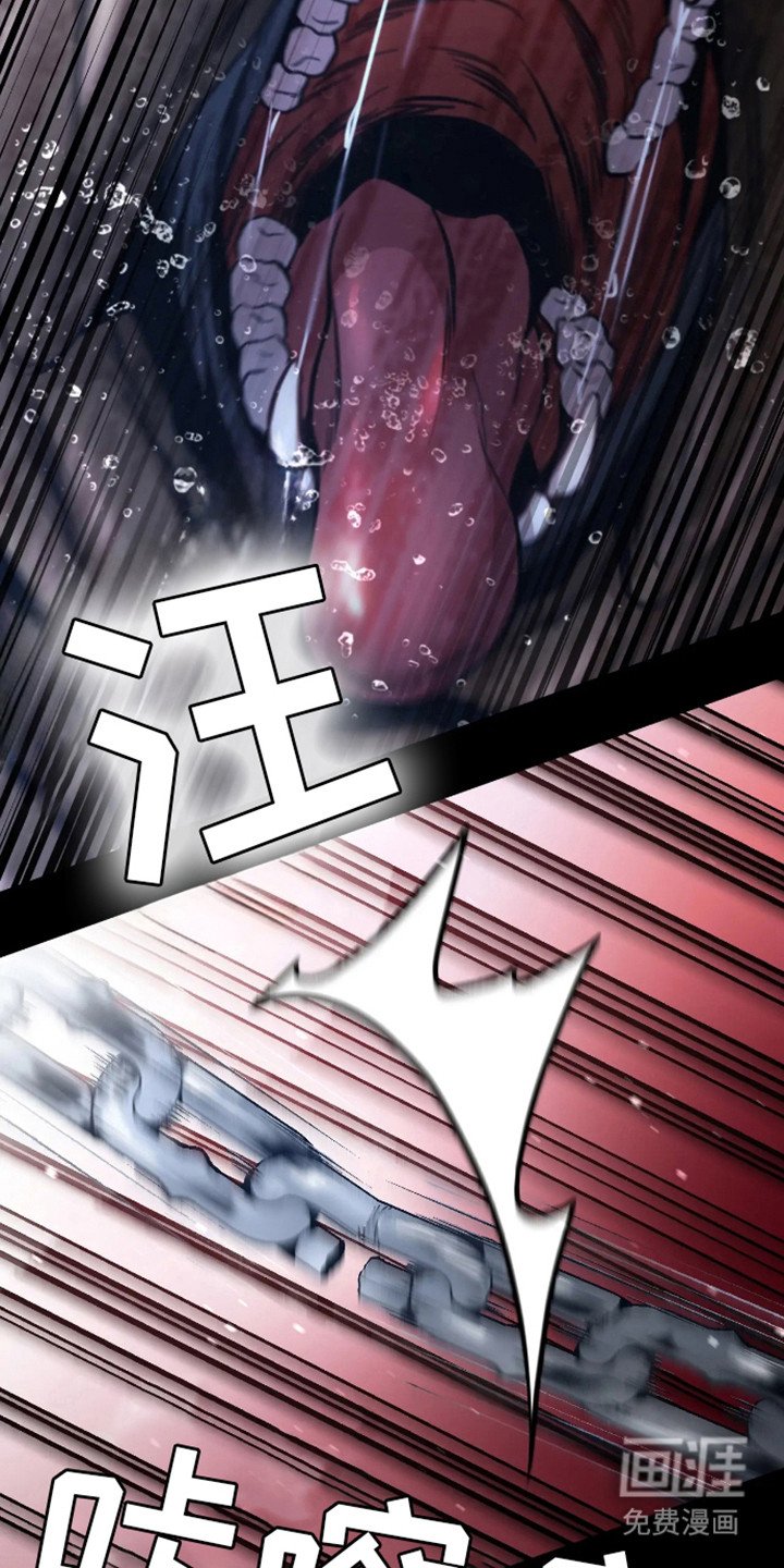 第12章：选择