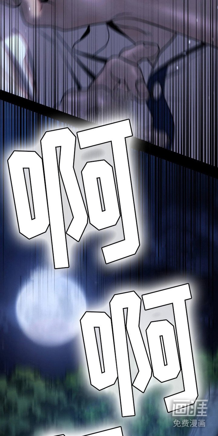 第12章：选择
