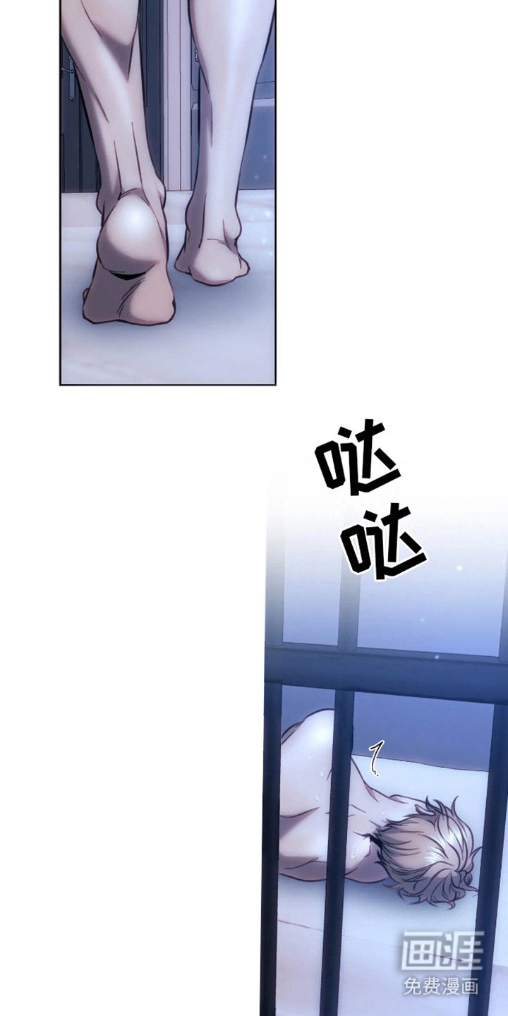 第12章：选择