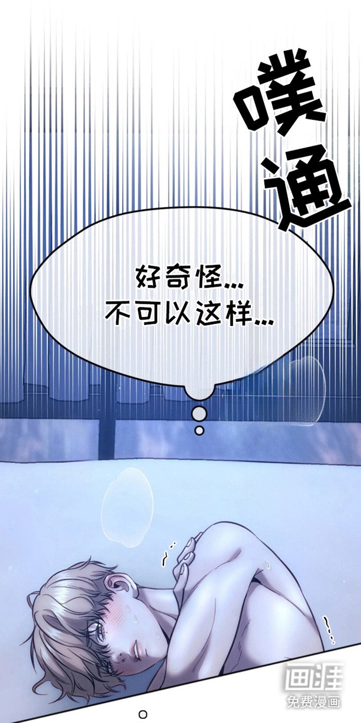 第12章：选择