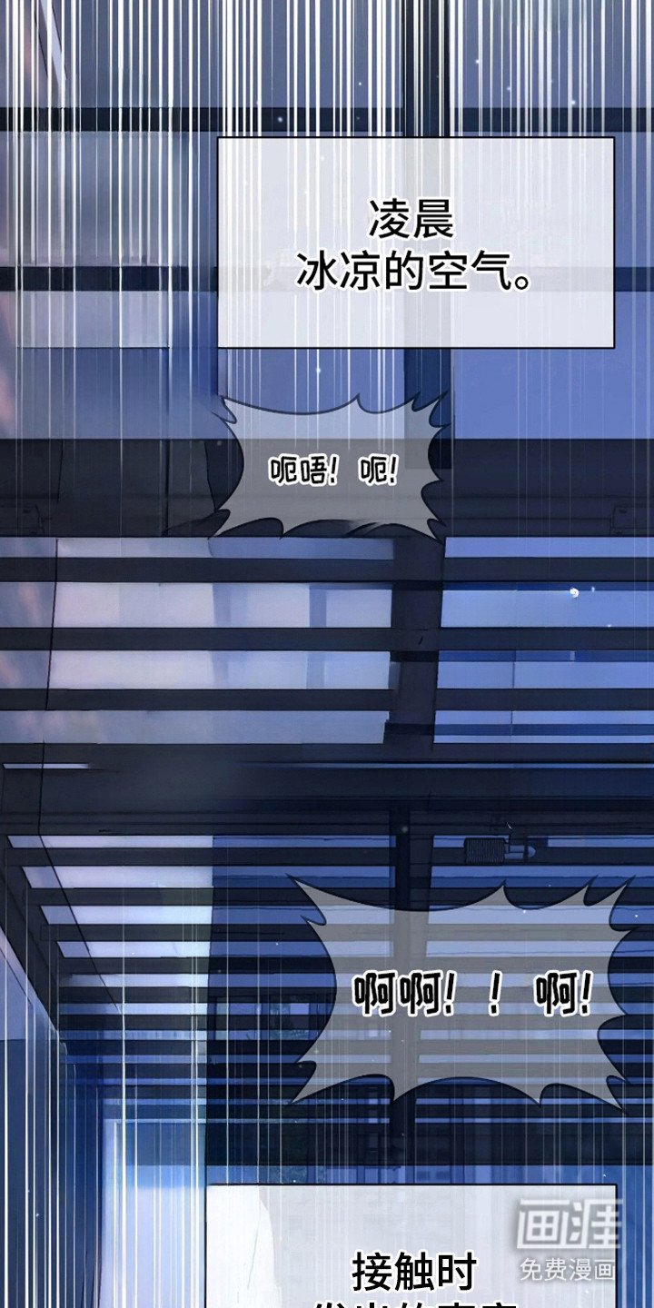 第12章：选择