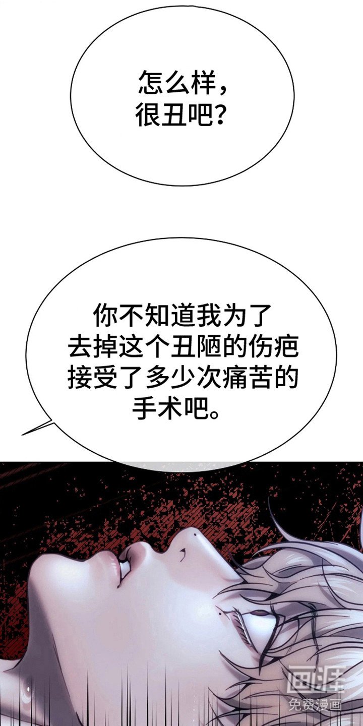 第13章：伤疤