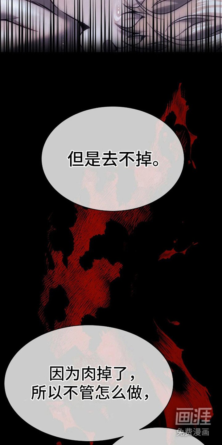 第13章：伤疤
