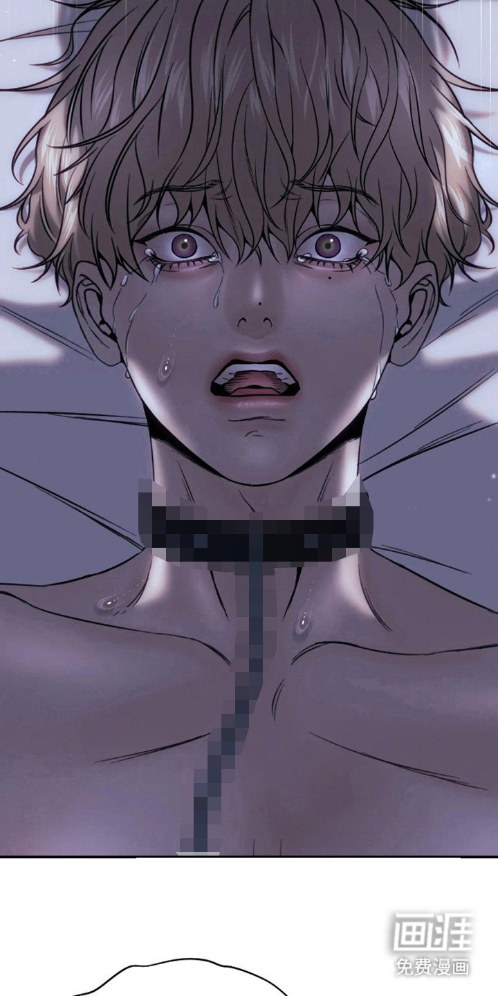 第13章：伤疤