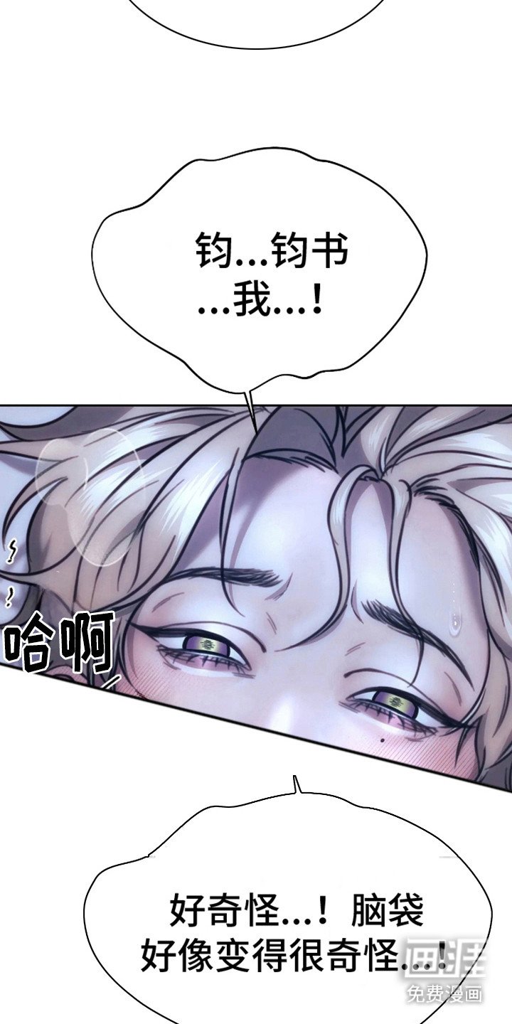 第14章：撕下面具