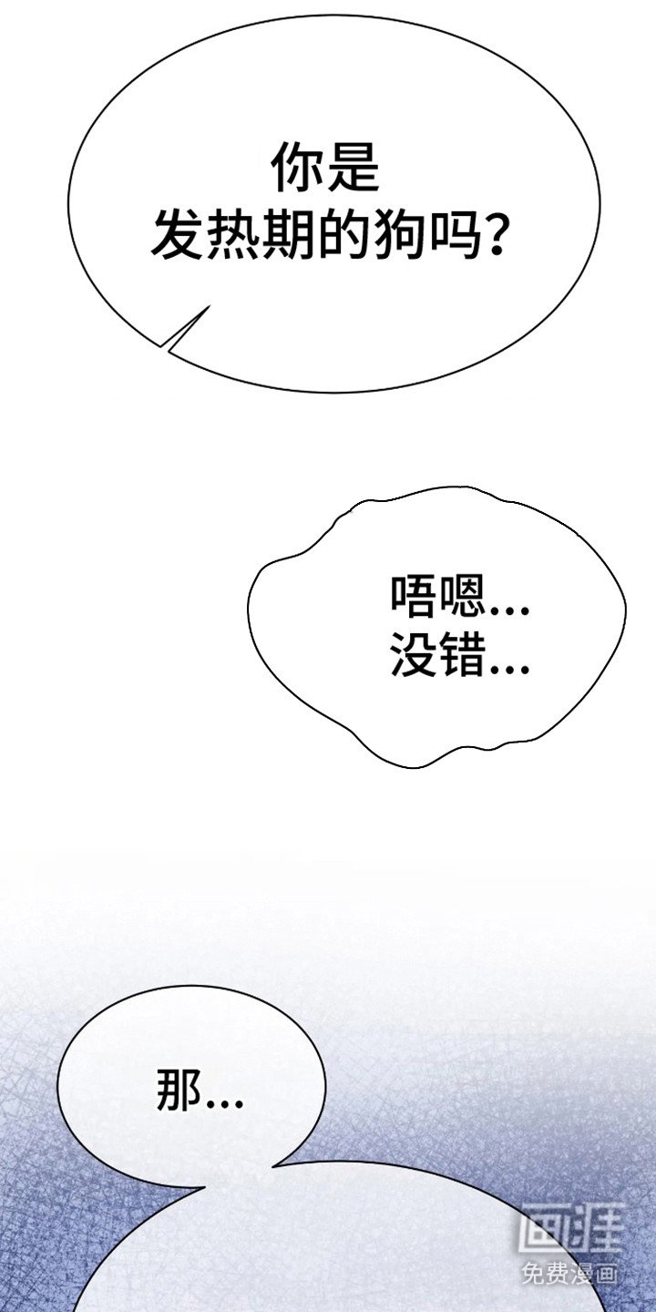 第14章：撕下面具