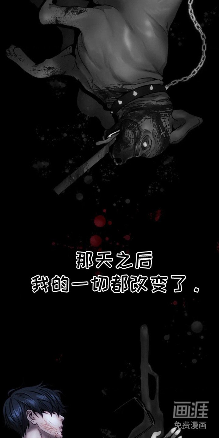 第14章：撕下面具