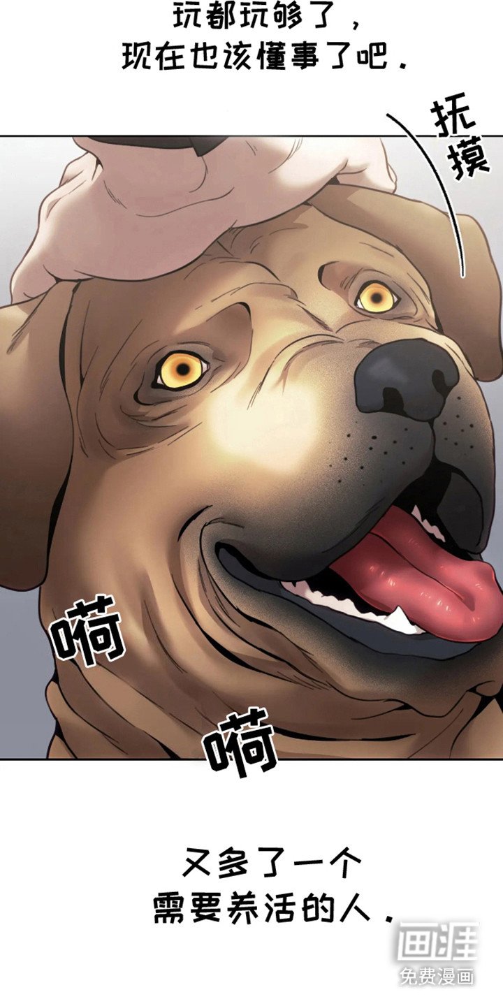 第15章：我们的犬舍（完结）