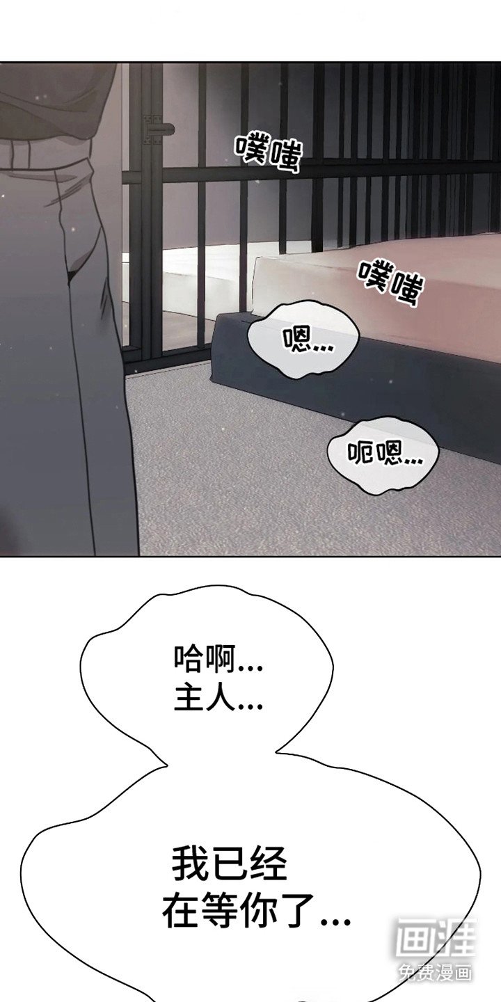 第15章：我们的犬舍（完结）