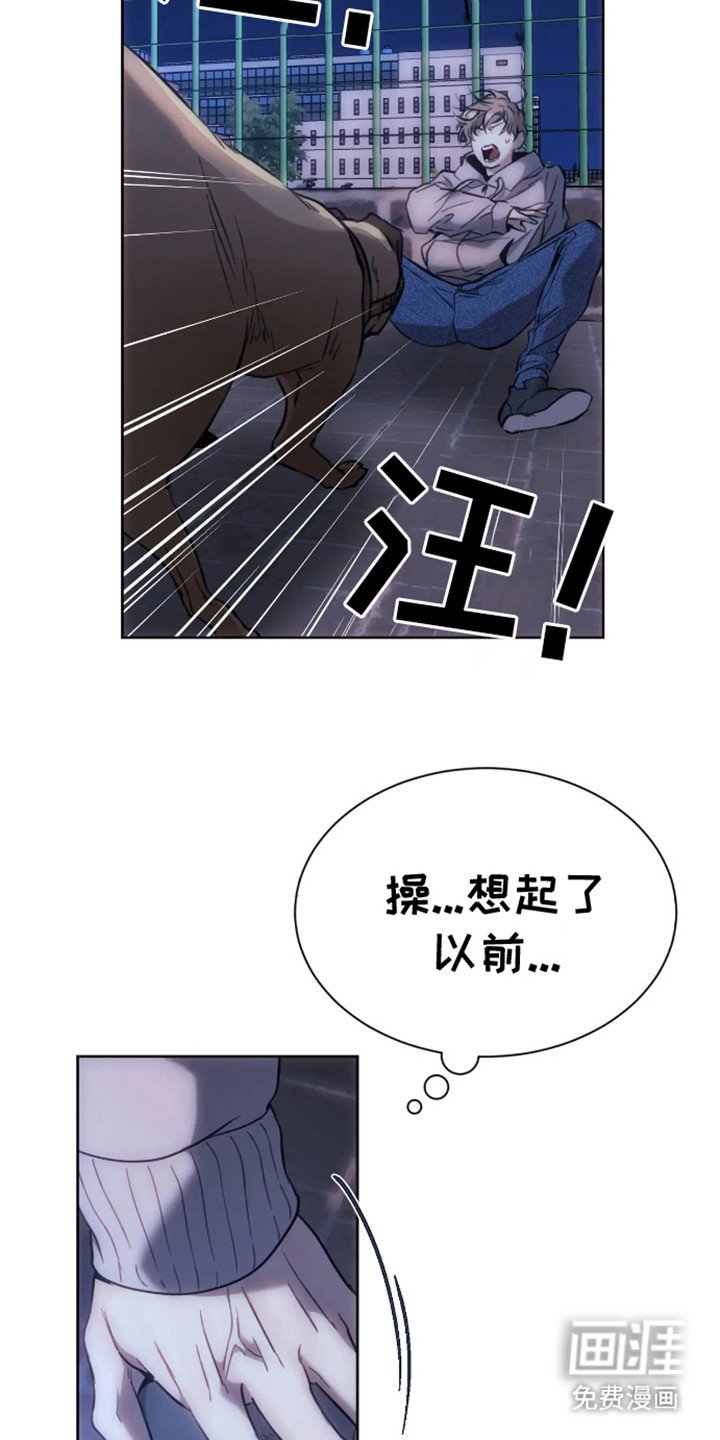 第3章：偶遇