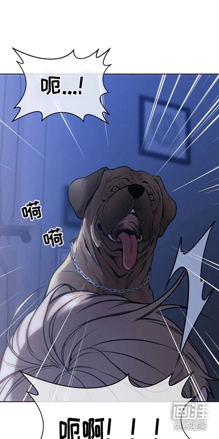 第4章：邀请