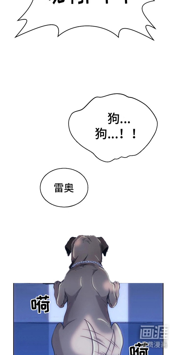 第4章：邀请