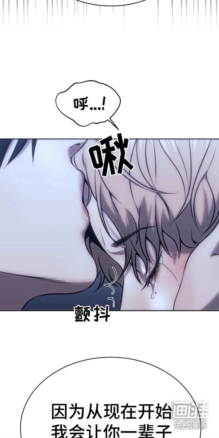 第6章：笼子