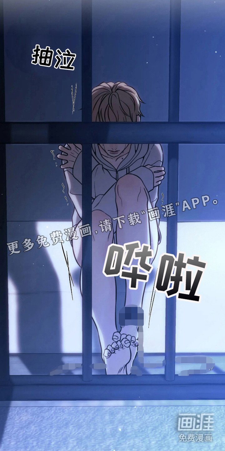 第6章：笼子
