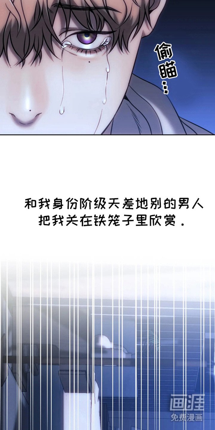 第6章：笼子
