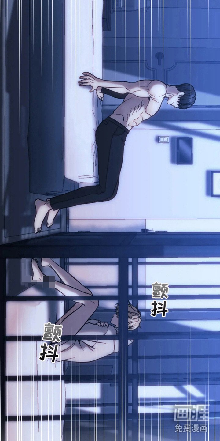 第6章：笼子