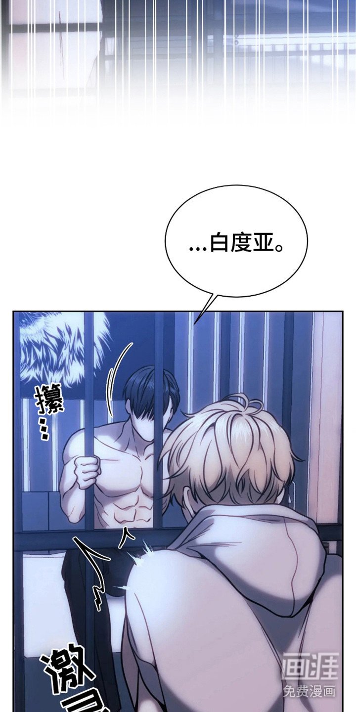 第6章：笼子