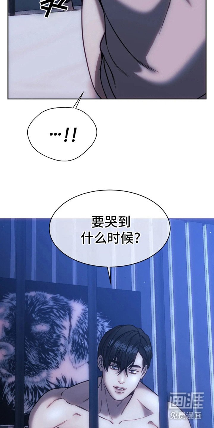 第6章：笼子