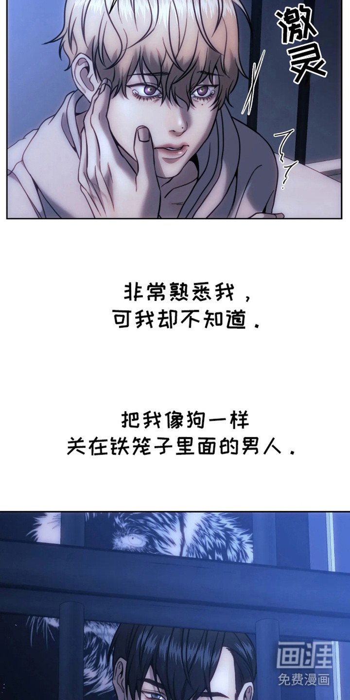 第6章：笼子