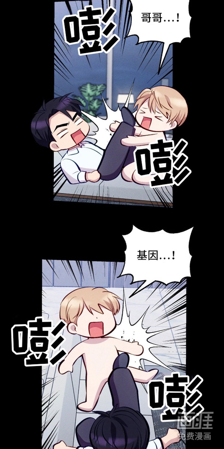 第12章：SS