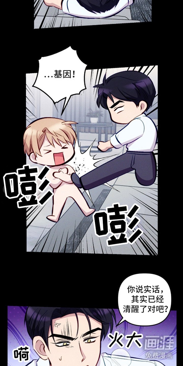第12章：SS