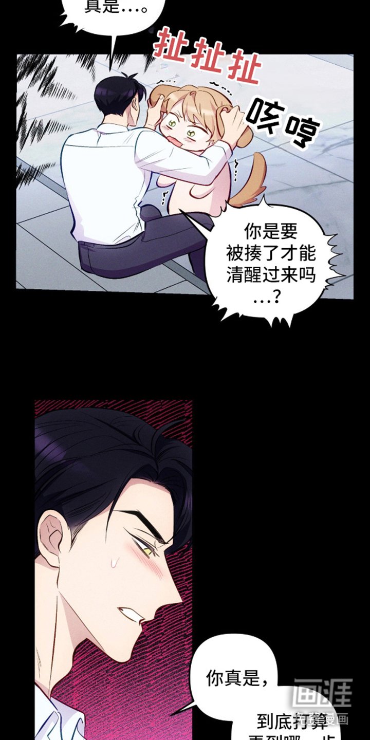 第12章：SS