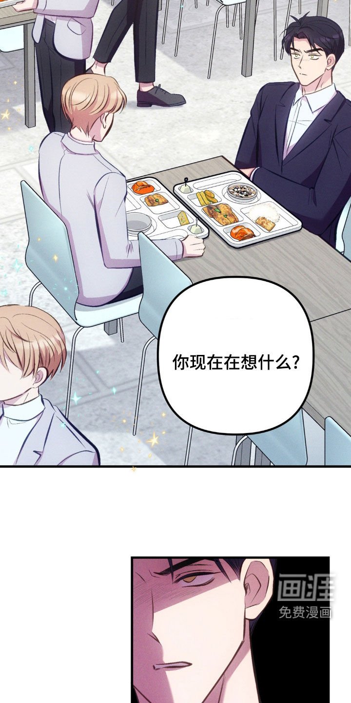 第17章：道歉