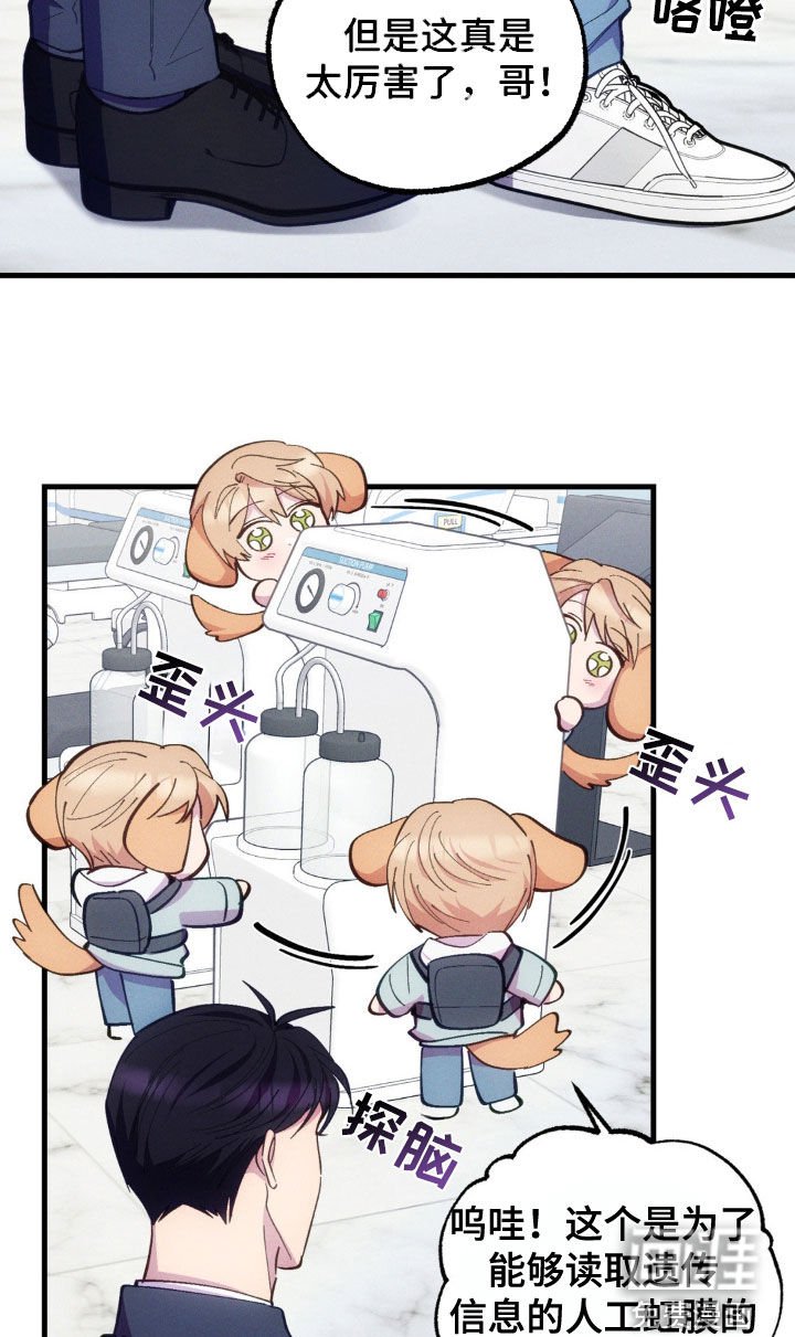 第30章：你要试一次吗