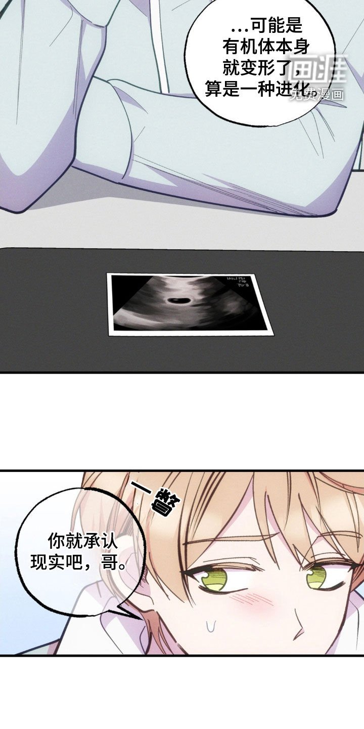 第32章：证实