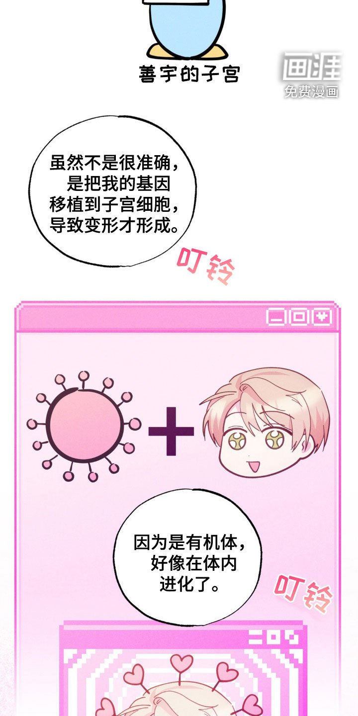 第32章：证实