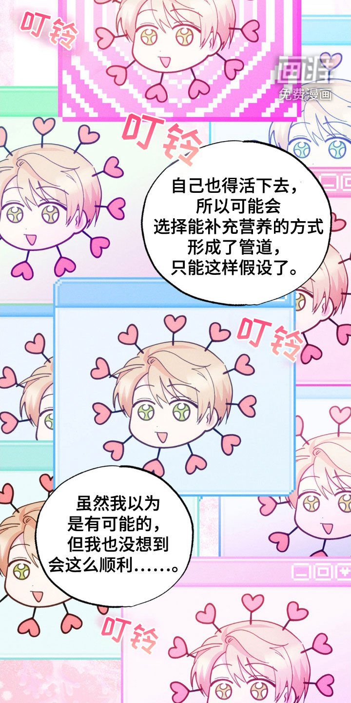第32章：证实