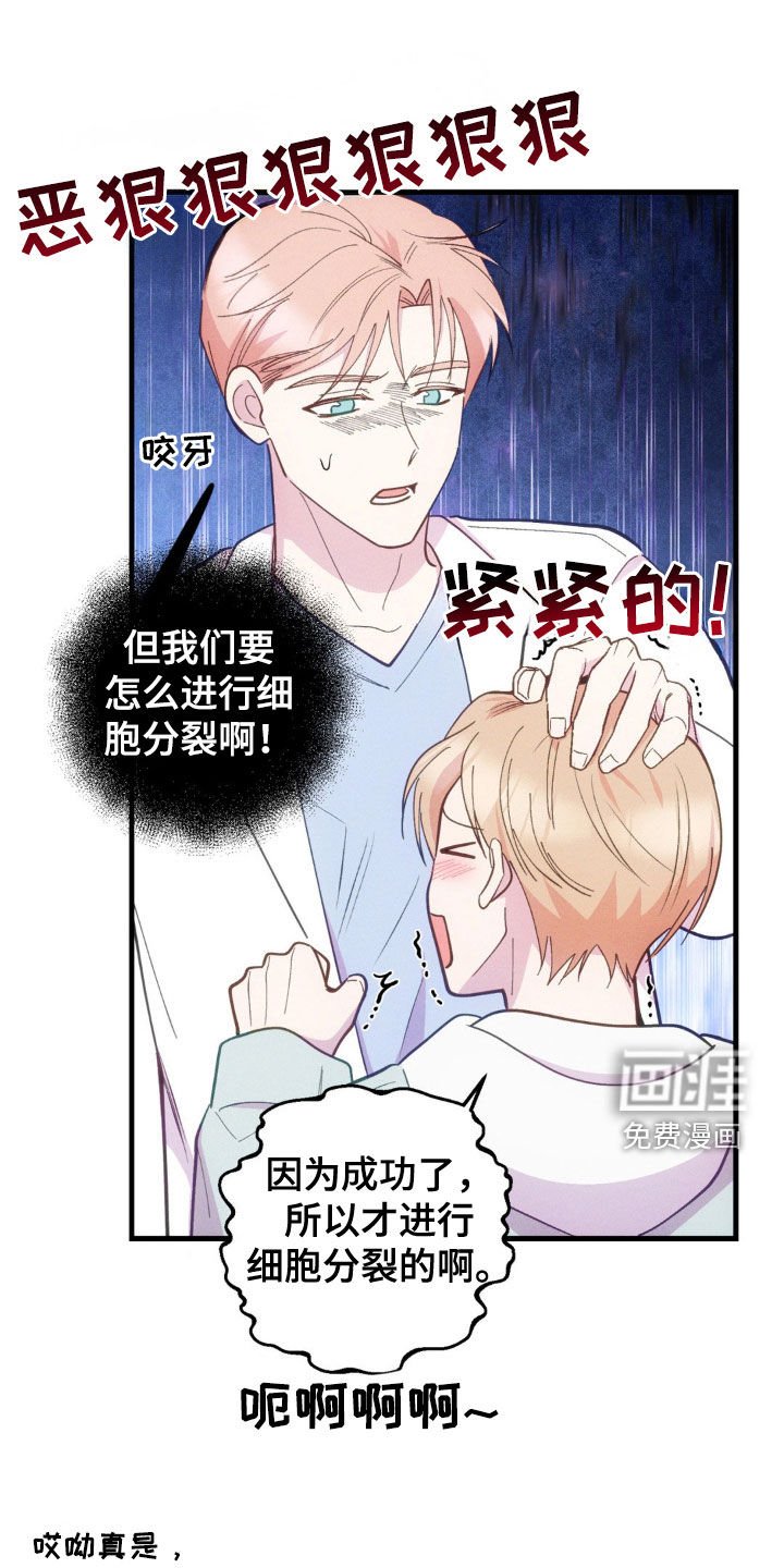 第33章：后果
