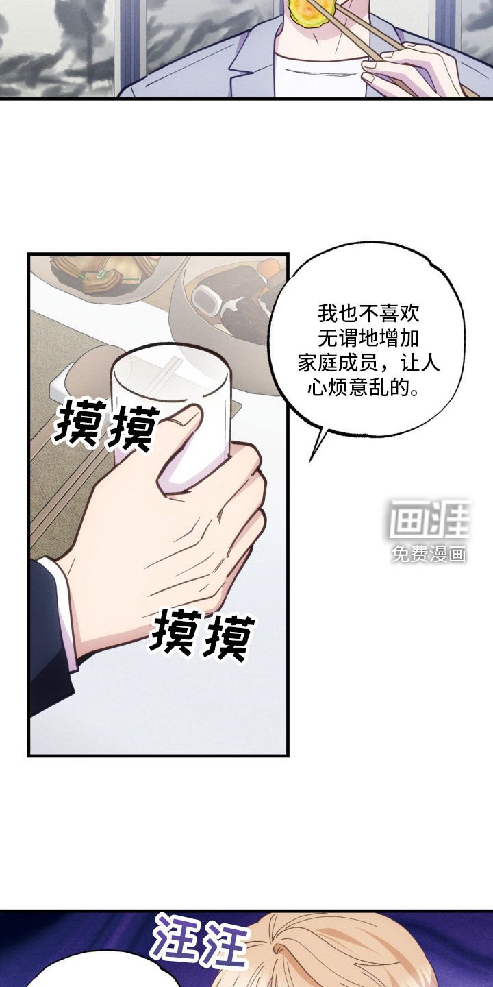 第43章：绝对不会