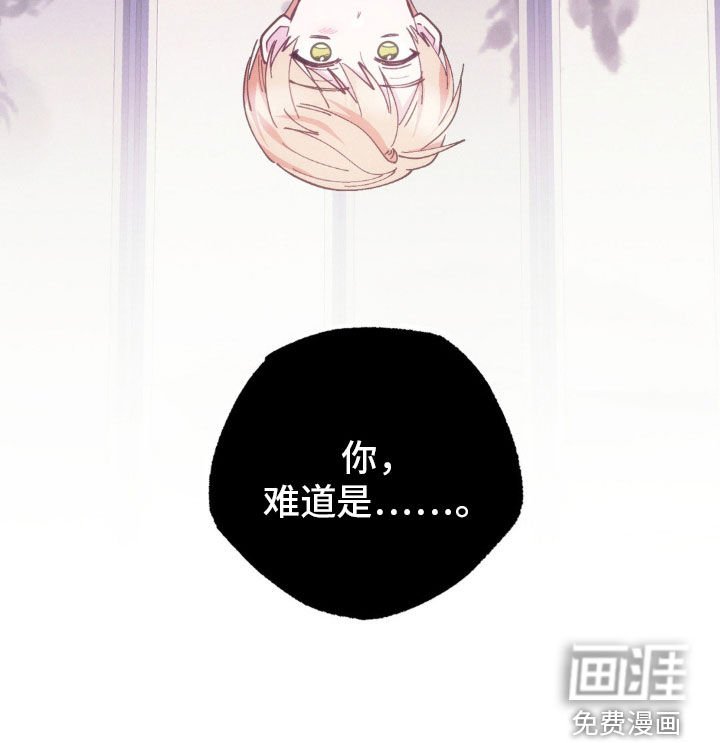 第43章：绝对不会