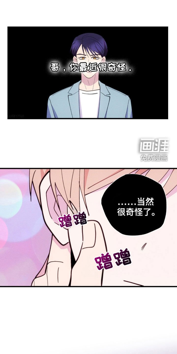 第49章：寻找